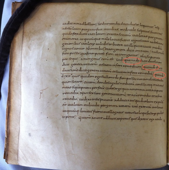 Leiden UB, VLQ 130, the Scholiasta Gronovianus, f. 21v