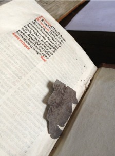 Leaf bookmark found by Erik Kwakkel in an incunabula in Zutphen's chained library. Photo Erik Kwakkel. 